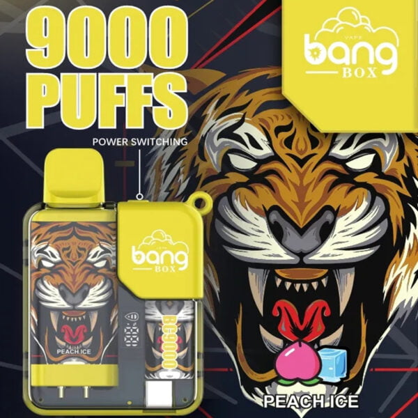 Bang Box 9000 Puffs 0% 2% 3% 5% Nicotina ricaricabile LED Pover Display Vape usa e getta all'ingrosso - KeenVape - 2