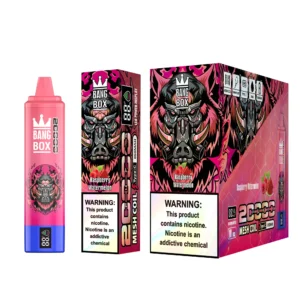 Bang Box 20000 trekjes 0% 2% 3% 5% Oplaadbare nicotinearme bulk Koop wegwerpvape-pen groothandel - KeenVape - 14
