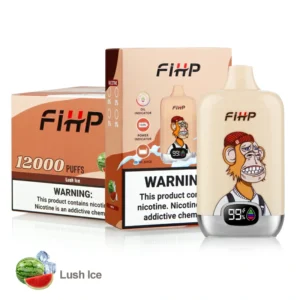 FIHP 12000 Puffs 2% 5% Low Nicotine Rechargeable Disposable Vapes Pen Bulk Buy Wholesale - KeenVape - 12
